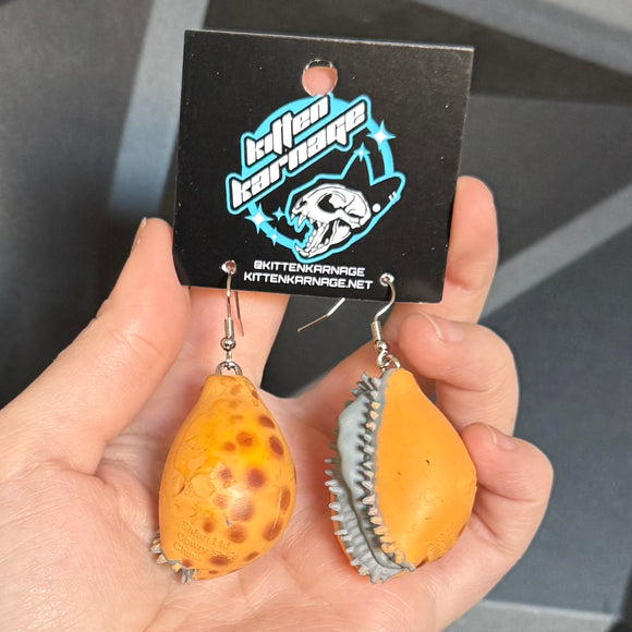 3D Cowry Shell Marine Biology Earrings